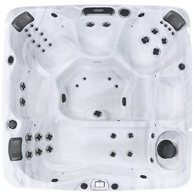 Avalon-X EC-840LX hot tubs for sale in Homestead