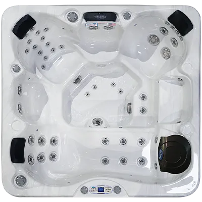 Avalon EC-849L hot tubs for sale in Homestead
