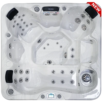 Avalon-X EC-849LX hot tubs for sale in Homestead
