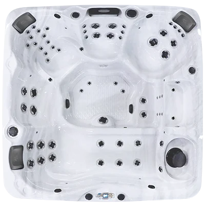 Avalon EC-867L hot tubs for sale in Homestead